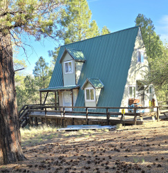 7426 Forest Svc Rd 200, Young, Arizona 85554, Bedrooms, ,Residential,For Sale,Forest Svc Rd 200,92674
