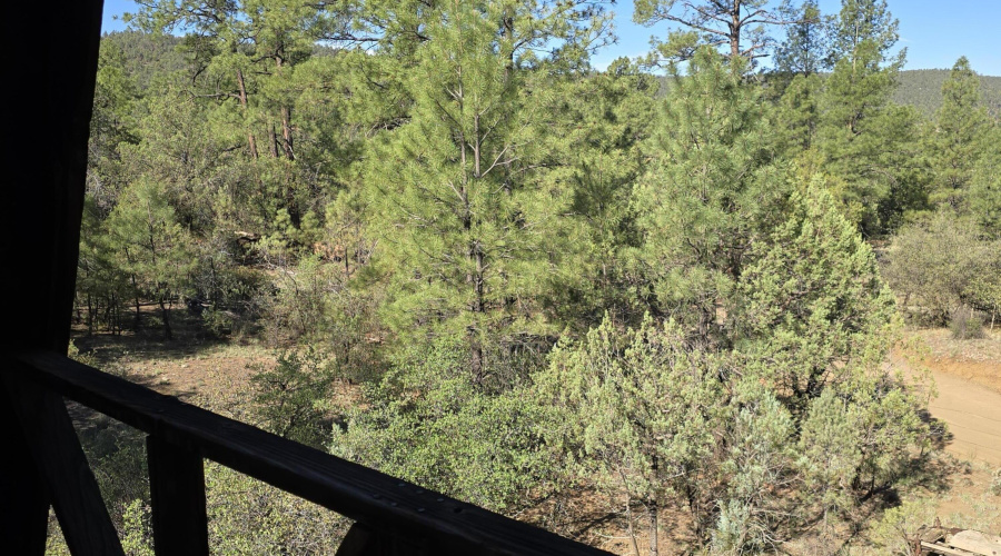 Loft View twd TNForest