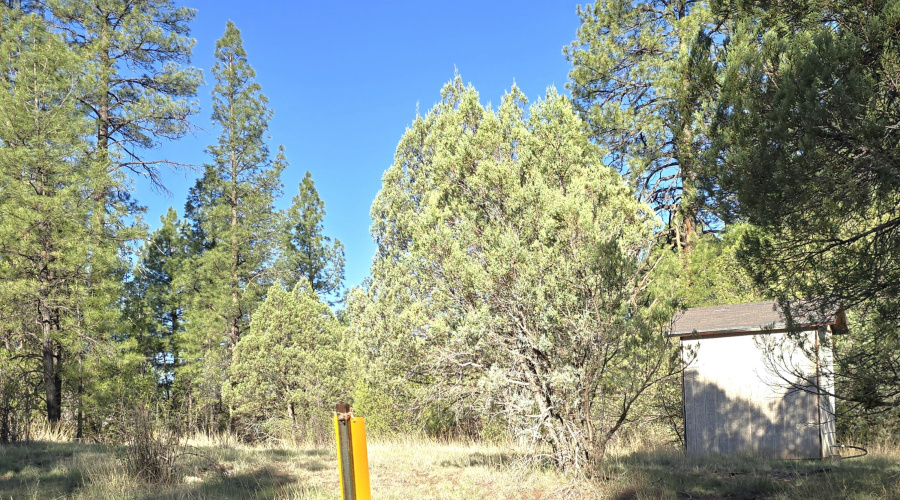 TNForest Boundary Sign