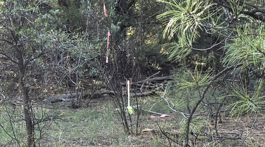 Survey Pin on TNF - N end