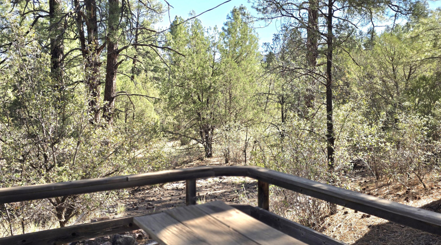 Porch Picnic Table View of 2 Acres