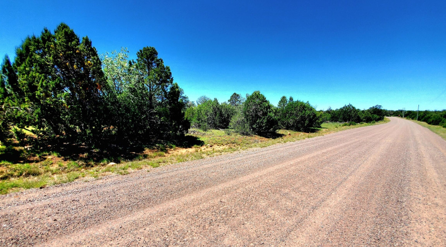 20250730_110615_resized