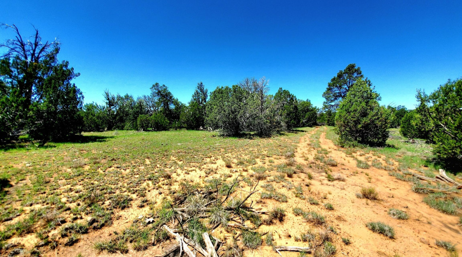 1-20250730_110021_resized