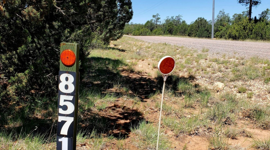 2-20250730_105640_resized