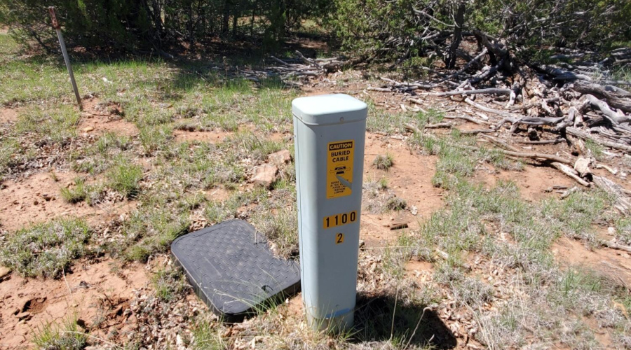 3-20250730_105747_resized