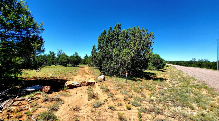 20250730_105705_resized