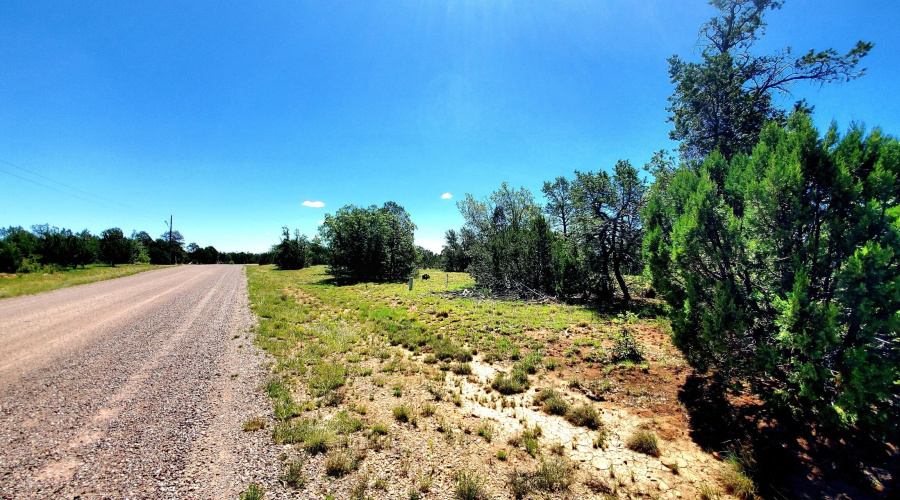 20250730_105717_resized