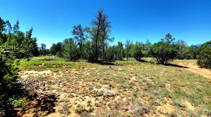 20250730_105948_resized