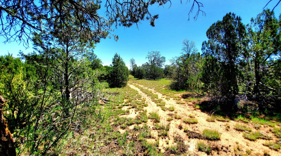 20250730_110112_resized