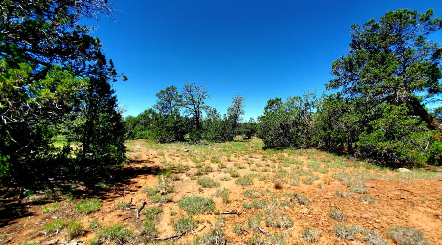 20250730_110232_resized