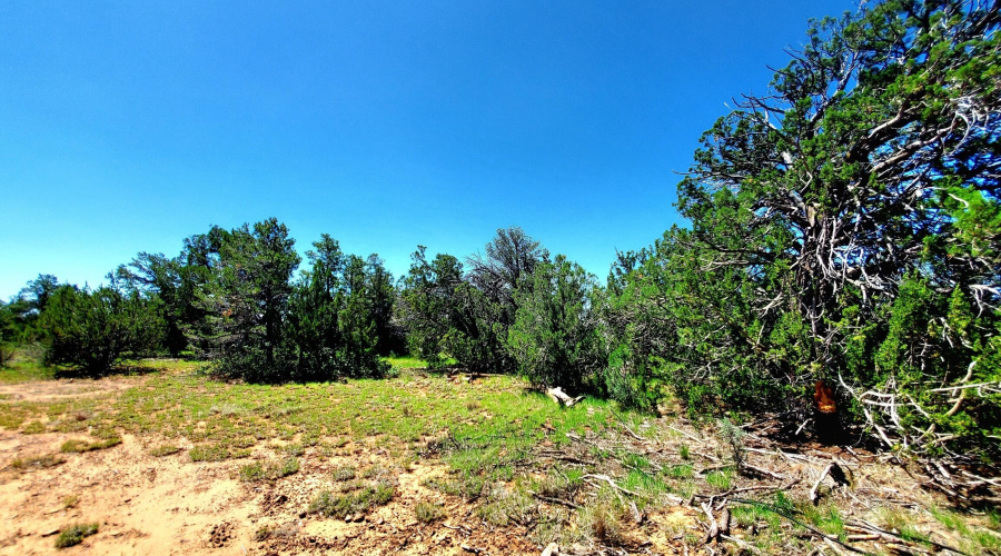 20250730_110248_resized