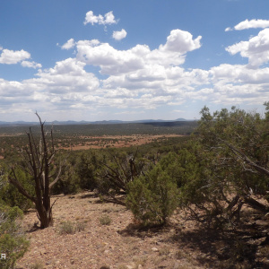 view 1