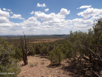 0 Bella Vista, Show Low, Arizona 85901, ,Land,For Sale,Bella,256496