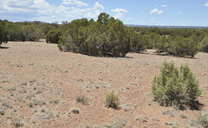 9188 & 5270, Concho, Arizona 85924, ,Land,For Sale,& 5270,257319