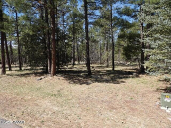 922 Pine Creek Drive, Lakeside, Arizona 85929, ,Land,For Sale,Pine Creek,257017