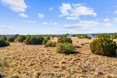 8487 Alpine Place, Show Low, Arizona 85901, ,Land,For Sale,Alpine,257120
