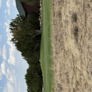 Fairway-Green Picture