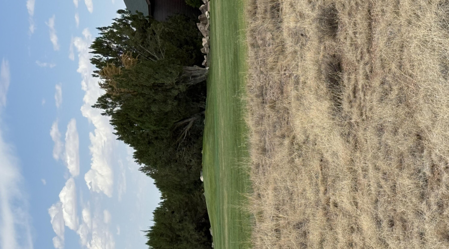 Fairway-Green Picture