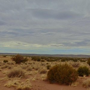 18.81 Acres Concho Area