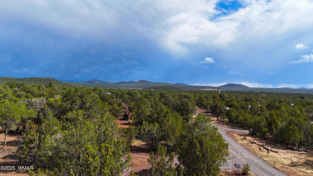 14 County Rd N3573, Vernon, Arizona 85940, ,Land,For Sale,County Rd N3573,257302