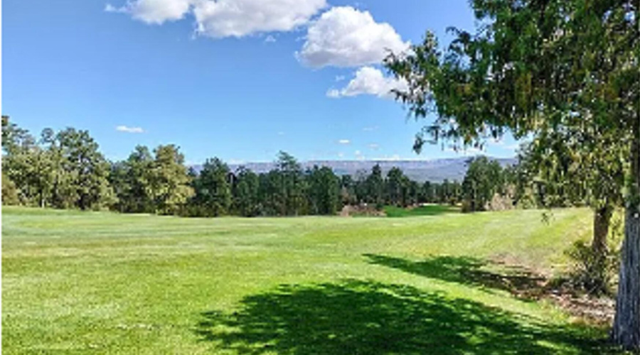 Screenshot 2025-06-26 170315