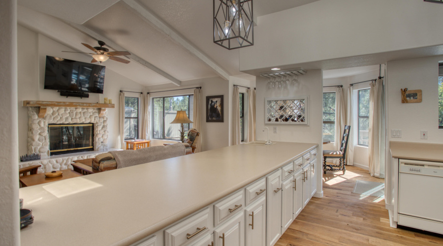 Paxmanphoto_PAX_9323