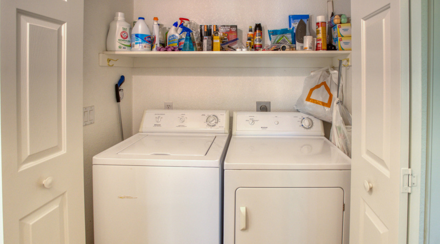 Paxmanphoto_PAX_9369