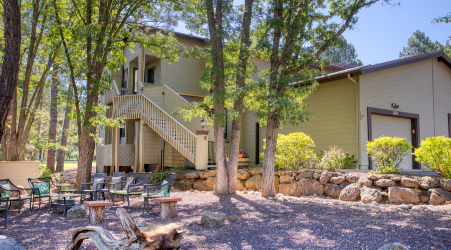 Paxmanphoto_PAX_9374