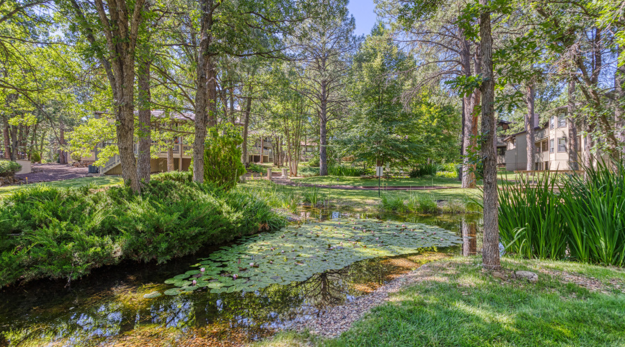 PAX_9380_AuroraHDR2019-edit