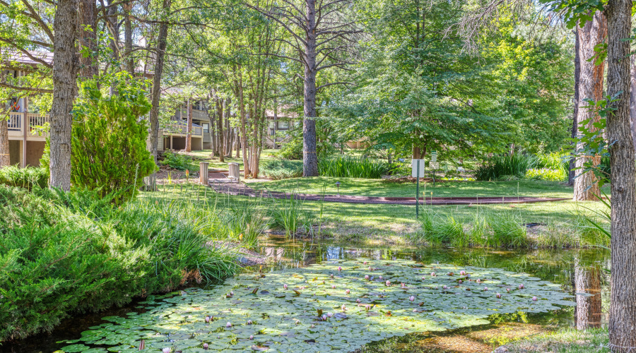 PAX_9383_AuroraHDR2019-edit