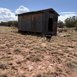 Shed 1