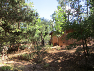 6413 Barton Drive, Pine, Arizona 85544, Bedrooms, ,Residential,For Sale,Barton,92690