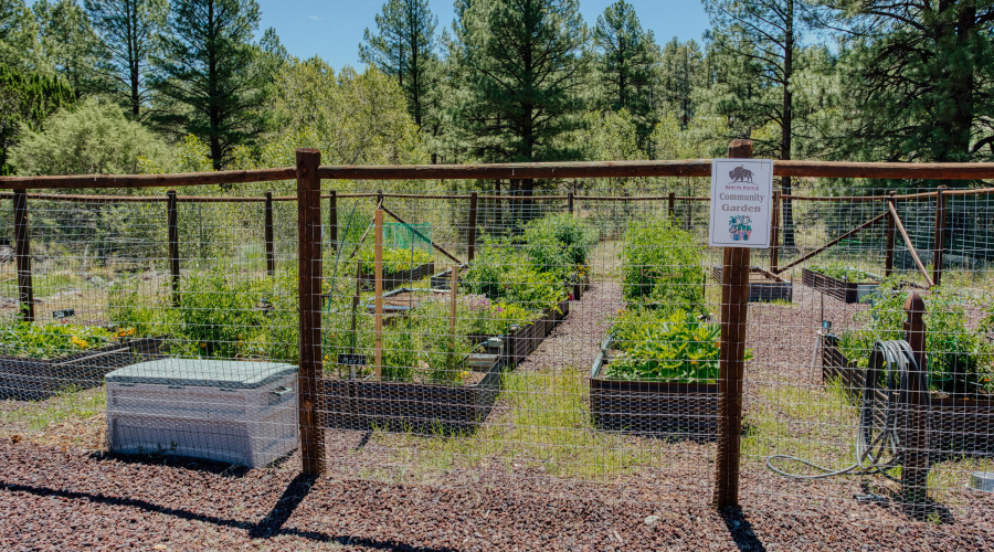HOA Community Garden