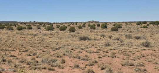 5120 Garibaldi Road, Snowflake, Arizona 85937, ,Land,For Sale,Garibaldi,257343