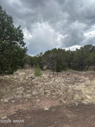 TBD HWY 61, Vernon, Arizona 85940, ,Land,For Sale,HWY 61,257338
