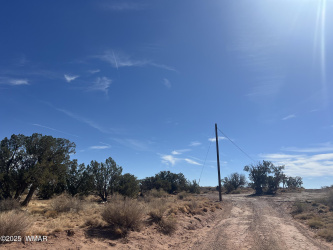 8362 Cupples Trail, Snowflake, Arizona 85937, ,Land,For Sale,Cupples,257368