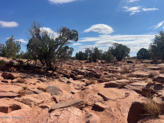 000 Old Woodruff Road, Snowflake, Arizona 85937, ,Land,For Sale,Old Woodruff Road,257376
