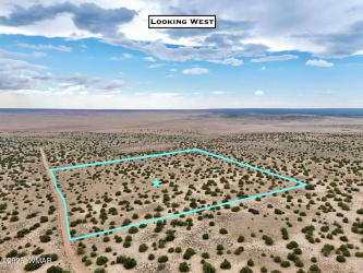 0 RD 7124, St. Johns, Arizona 85936, ,Land,For Sale,RD 7124,257383