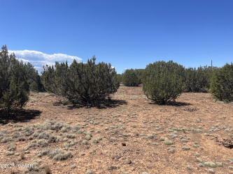 108 Colorado Avenue, Concho, Arizona 85924, ,Land,For Sale,Colorado,257390