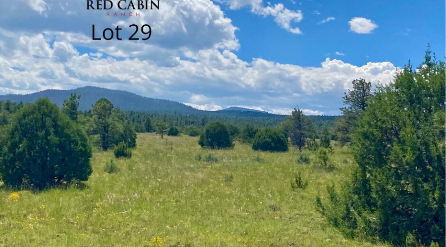 20220101160737796946000000-o