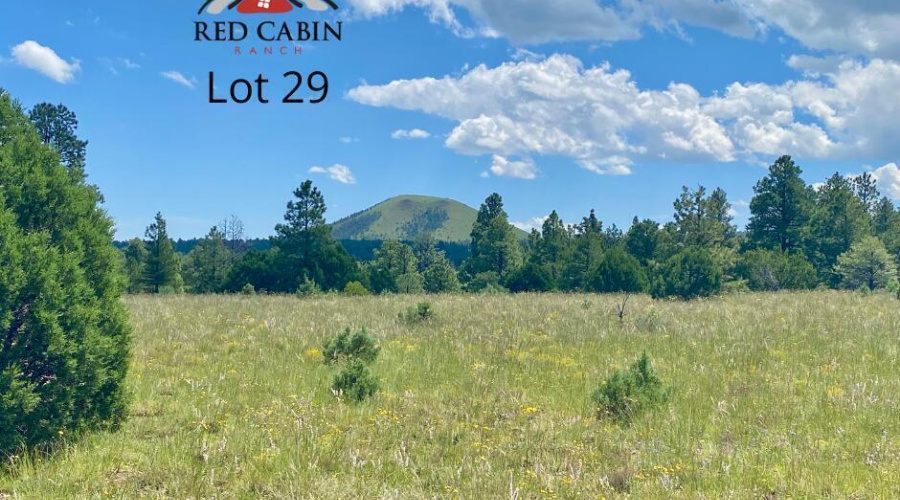 20211231000447641454000000-o