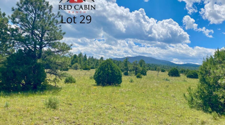 20220101155925088268000000-o