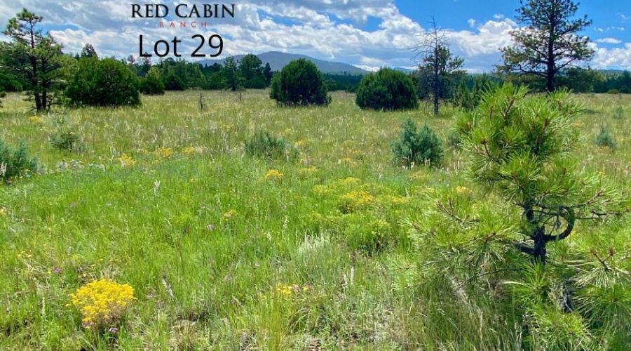 20220101160226039170000000-o