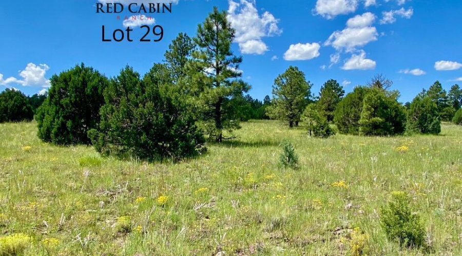 20220101160337787290000000-o