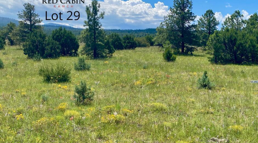 20220101160524235695000000-o