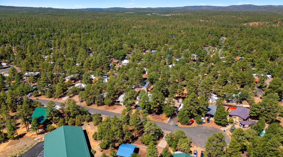 620N41stAve-ShowLow-AZ-31