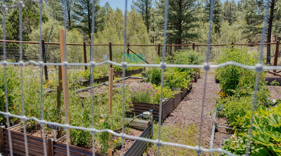 HOA Community Garden