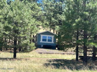 450 County Road 2104, Alpine, Arizona 85920, Bedrooms, ,Bathrooms,Residential,For Sale,County Road 2104,257396