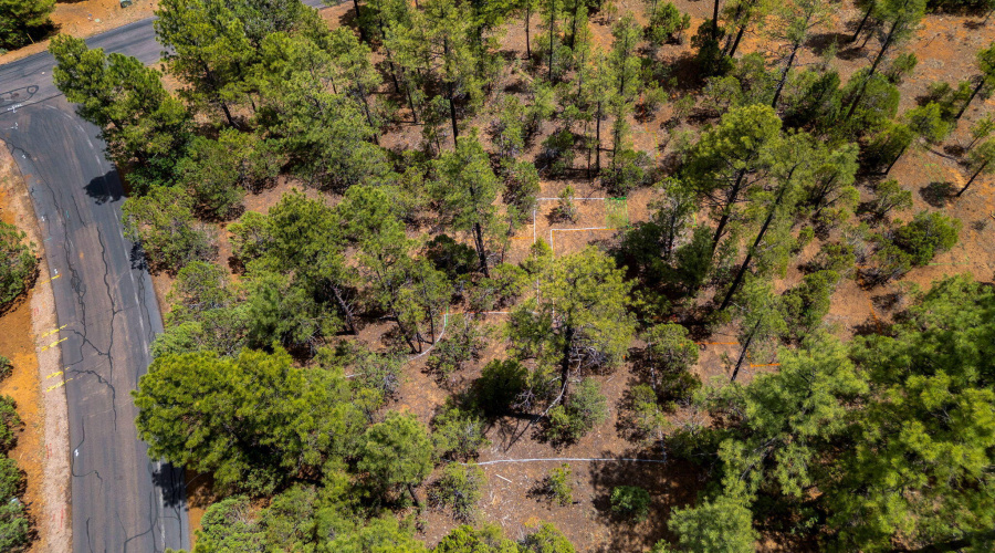 4021WRedtwigLn-ShowLow-AZ-8