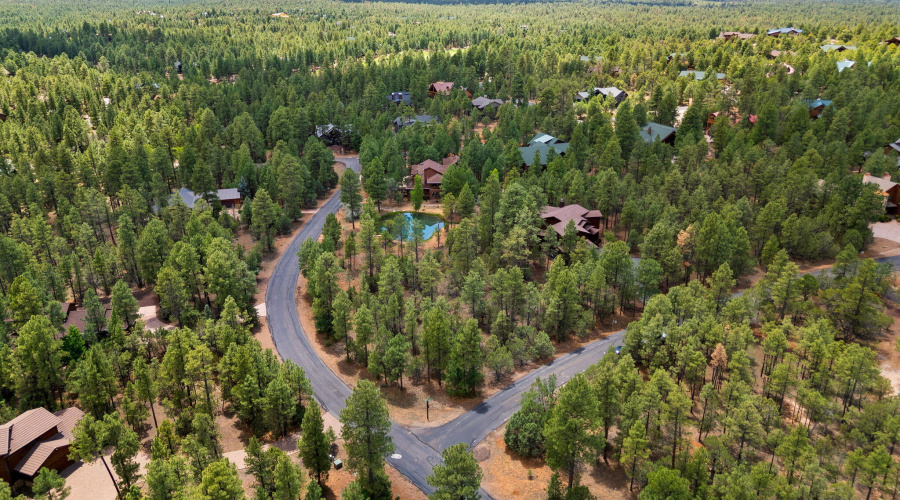 4021WRedtwigLn-ShowLow-AZ-6